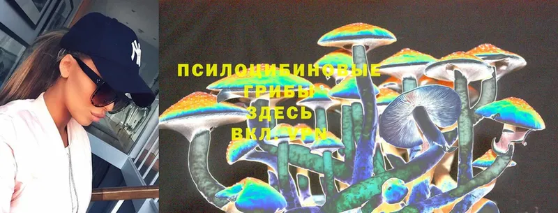 где купить наркоту  Лянтор  Галлюциногенные грибы Magic Shrooms 